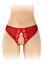 Carregar imagem no visualizador da galeria, Cueca em renda vermelha - Ambre - Fashion Secret