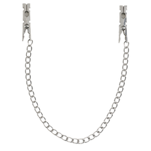 Carregar imagem no visualizador da galeria, Pinças para mamilos com molas prateadas - Virgite