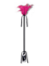 Carregar imagem no visualizador da galeria, Chicote e Espanador de Penas 2em1 - Secret Play