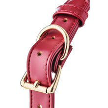 Carregar imagem no visualizador da galeria, Mordaça de silicone 4.7cm - Vermelha - Blaze Elite