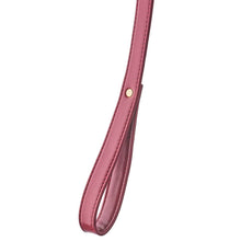 Carregar imagem no visualizador da galeria, Coleira e trela - Vermelha - Blaze Elite