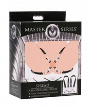 Carregar imagem no visualizador da galeria, Cintos para pernas com pinças para lábios vaginais - Labia Spreader - Master Series
