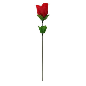 Rosa com tanga feminina vermelha 