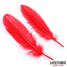 Carregar imagem no visualizador da galeria, Kit BDSM com 3 peças em vermelho - Feather bondage 3pcs set - Late to bed
