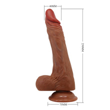 Carregar imagem no visualizador da galeria, Vibrador realístico com movimento sobe e desce e rotação - 25 cm - Castanho - Calisto - Baile
