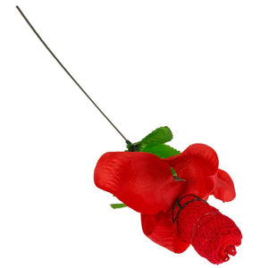 Rosa com tanga feminina vermelha