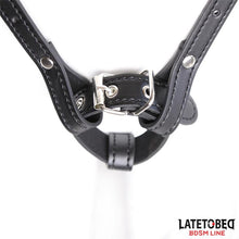 Carregar imagem no visualizador da galeria, Cinta/Arnês universal para Strap-on - Latetobed
