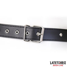 Carregar imagem no visualizador da galeria, Cinta/Arnês universal para Strap-on - Latetobed
