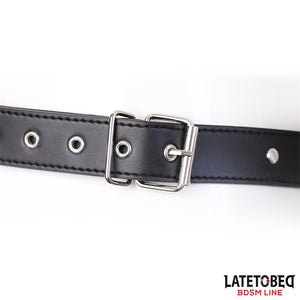 Cinta/Arnês universal para Strap-on - Latetobed