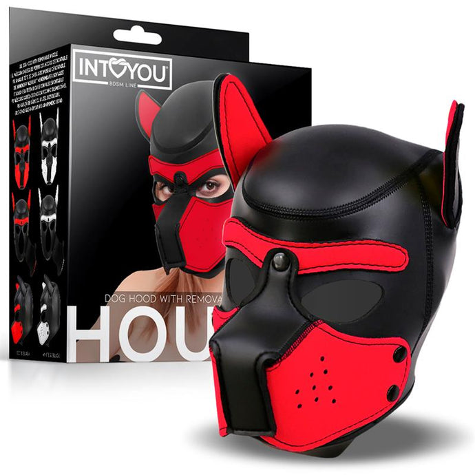 Máscara de Cachorro com Focinho Removível - Hound - InToYou
