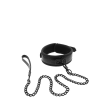 Carregar imagem no visualizador da galeria, Colar e Trela - Blaze Croco
