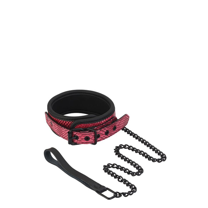 Colar e Trela Blaze Rosa