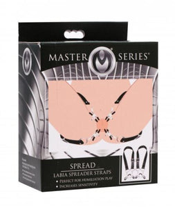 Cintos para pernas com pinças para lábios vaginais - Labia Spreader - Master Series